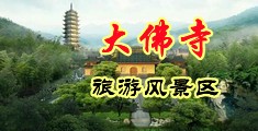 亲美女的骚逼视频入囗中国浙江-新昌大佛寺旅游风景区